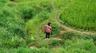 Beauty of Mu Cang Chai Vietnam
