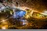 Grotta della Sorpresa Vietnam