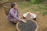 Le donne Hmong Laos