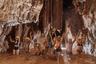 Mud bath Phong Nha Cave