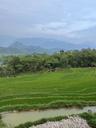 Pu Luong nature Vietnam