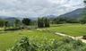 Rice fields Nghia Lo Vietnam