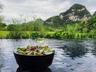 Tam Coc Garden Vietnam