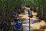 Trip in coconut forest Hoi An Vietnam