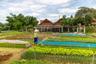 Villaggio organico di Tra Que Vietnam