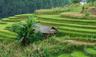 Visit Mu Cang Chai Vietnam