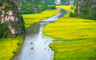 Risaie a Tam Coc