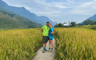 La période de récolte du riz mûr à Sapa rend le panorama encore plus séduisant