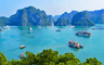Voyager à la baie d'Ha Long en mai offre de nombreux endroits attrayants pour les touristes