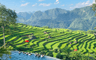 Pu Luong et Mai Chau : vallées paisibles entre rizières et villages ethniques