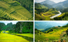 Où voir les plus belles rizières du Vietnam