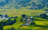 village Di Thang
