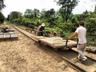 Decouvrir le train de bambou