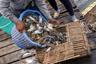 Krong Kep Crab market Cambodia