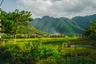 La vallée de Mai Chau