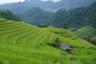 Les sublimes rizières en terrasse de Mu Cang Chai Vietnam