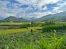 découvrir la beauté des paysages à Nghia Lo