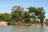 forêt inondée dans le Mékong Cambodge