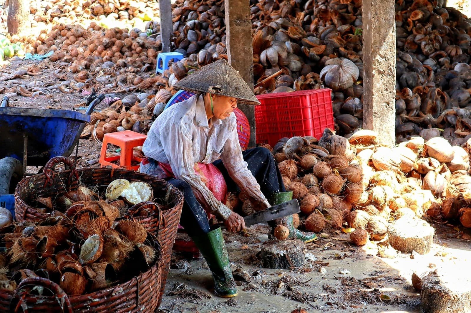 Vietnam coconut kingdom Ben Tre
