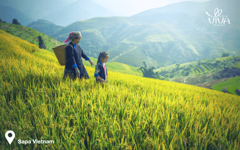 quando andare in vietnam e cambogia - Sapa in Vietnam con campi terrazzati