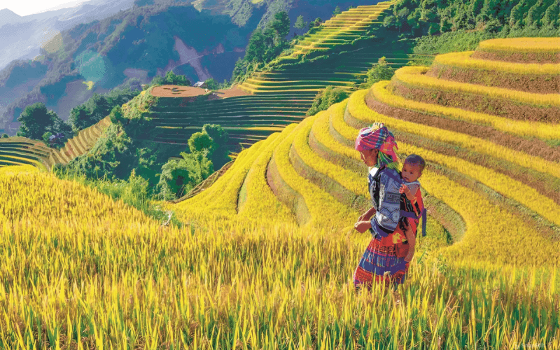 meteo-vietnam-en-septembre