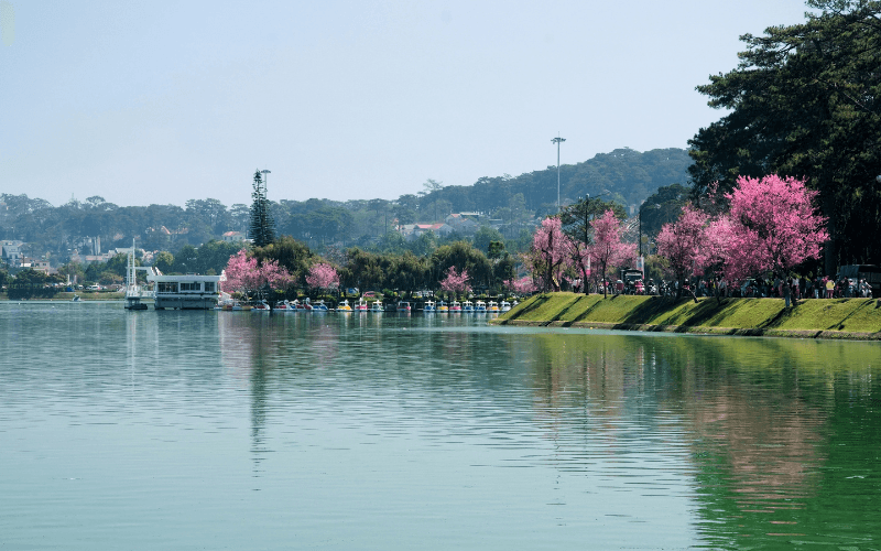 Vietnam shopping - Dalat Vietnam