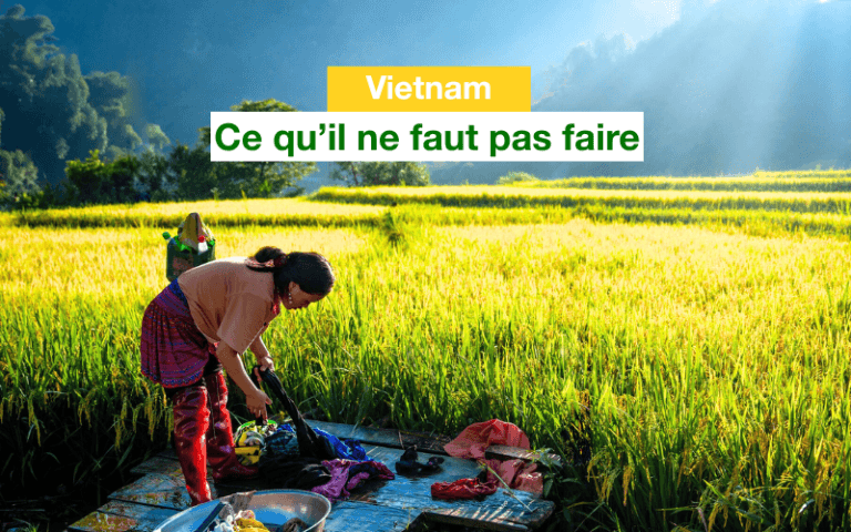 ce qu'il ne faut pas faire au Vietnam
