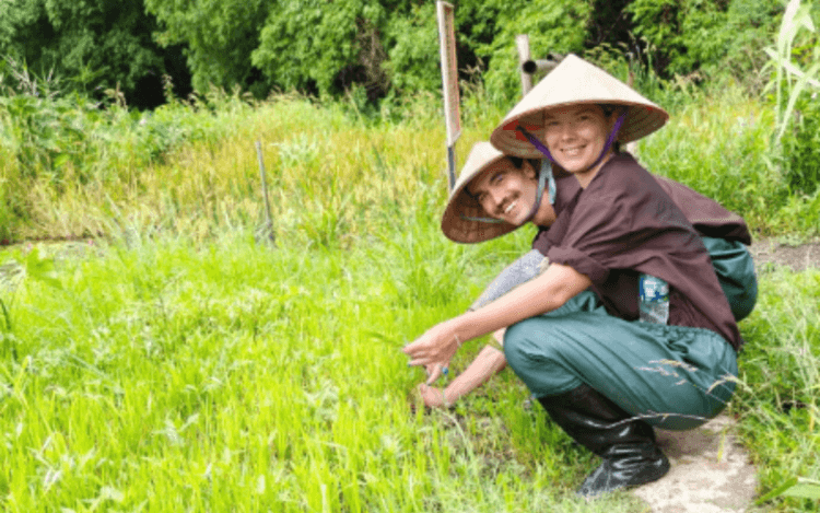 une-journee-travail-agricole-a-ninh-binh