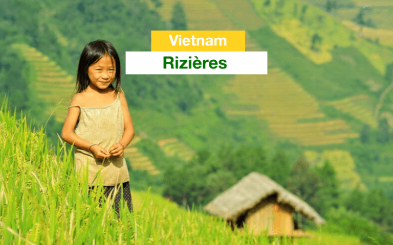 rizieres-vietnam