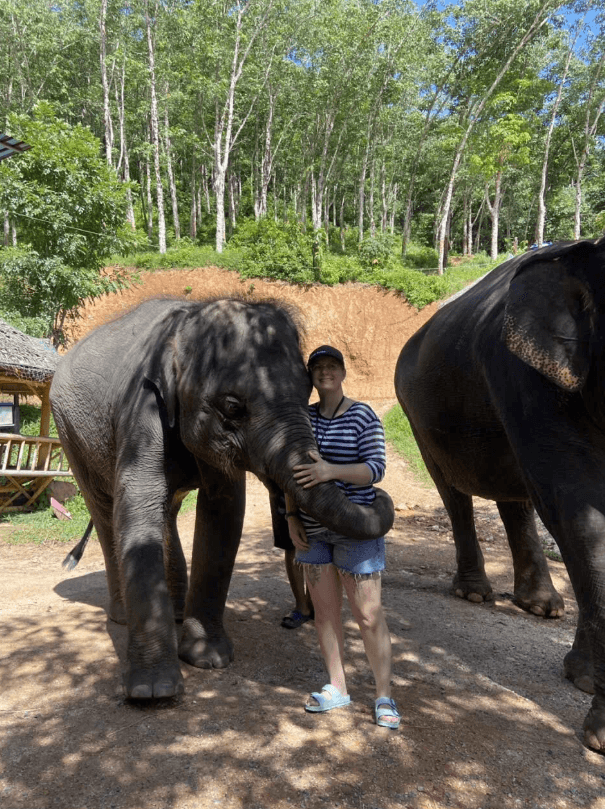 Screenshot 2025-10-03 085942