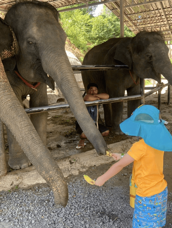 Screenshot 2025-10-03 090006