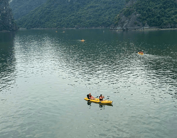 Screenshot 2025-11-21 090719