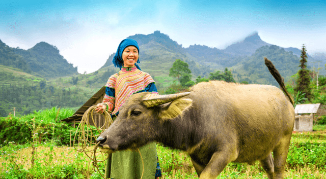 voyage authentique vietnam