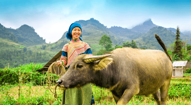 voyage authentique vietnam