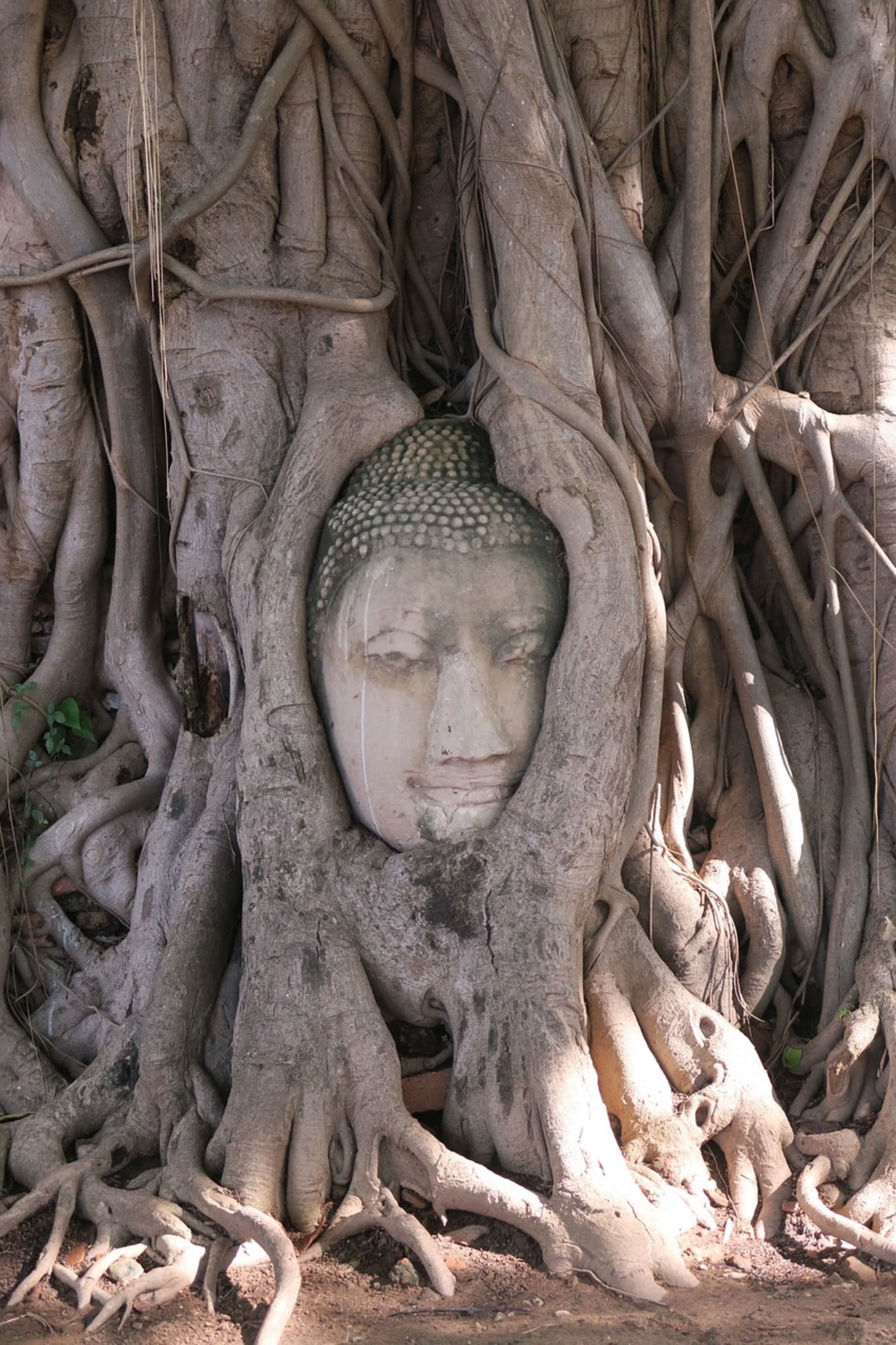 Ayutthaya Temple in Thailand