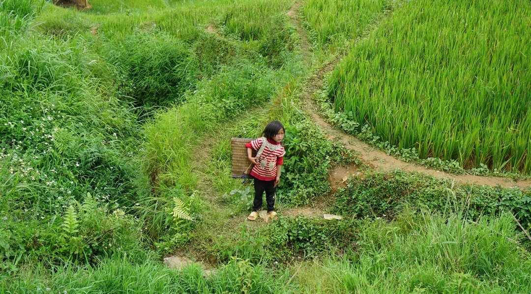 Beauty of Mu Cang Chai Vietnam