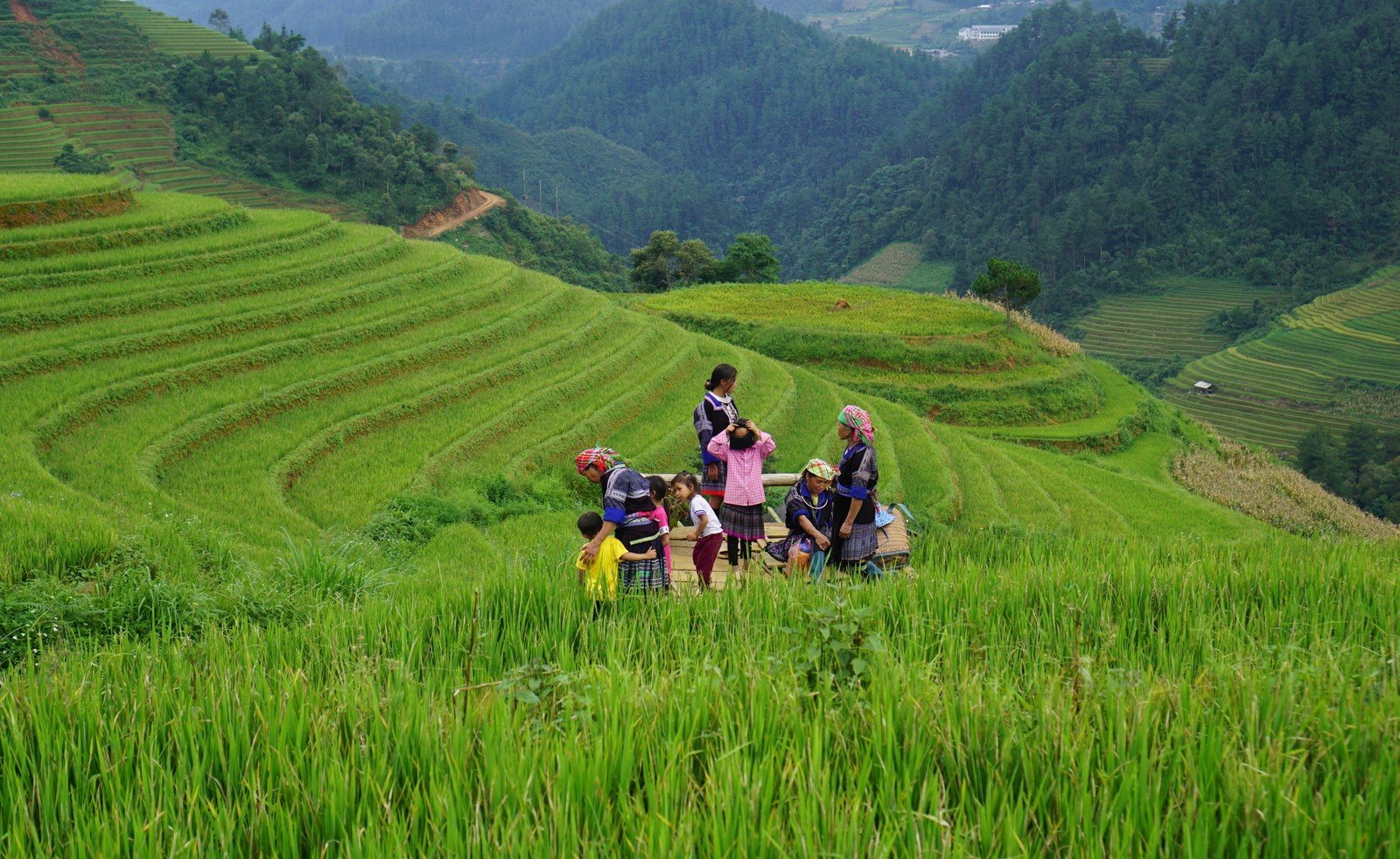 Beauty-of-terraced-rice-paddy-fields-Mu-Cang-Chai-Vietnam