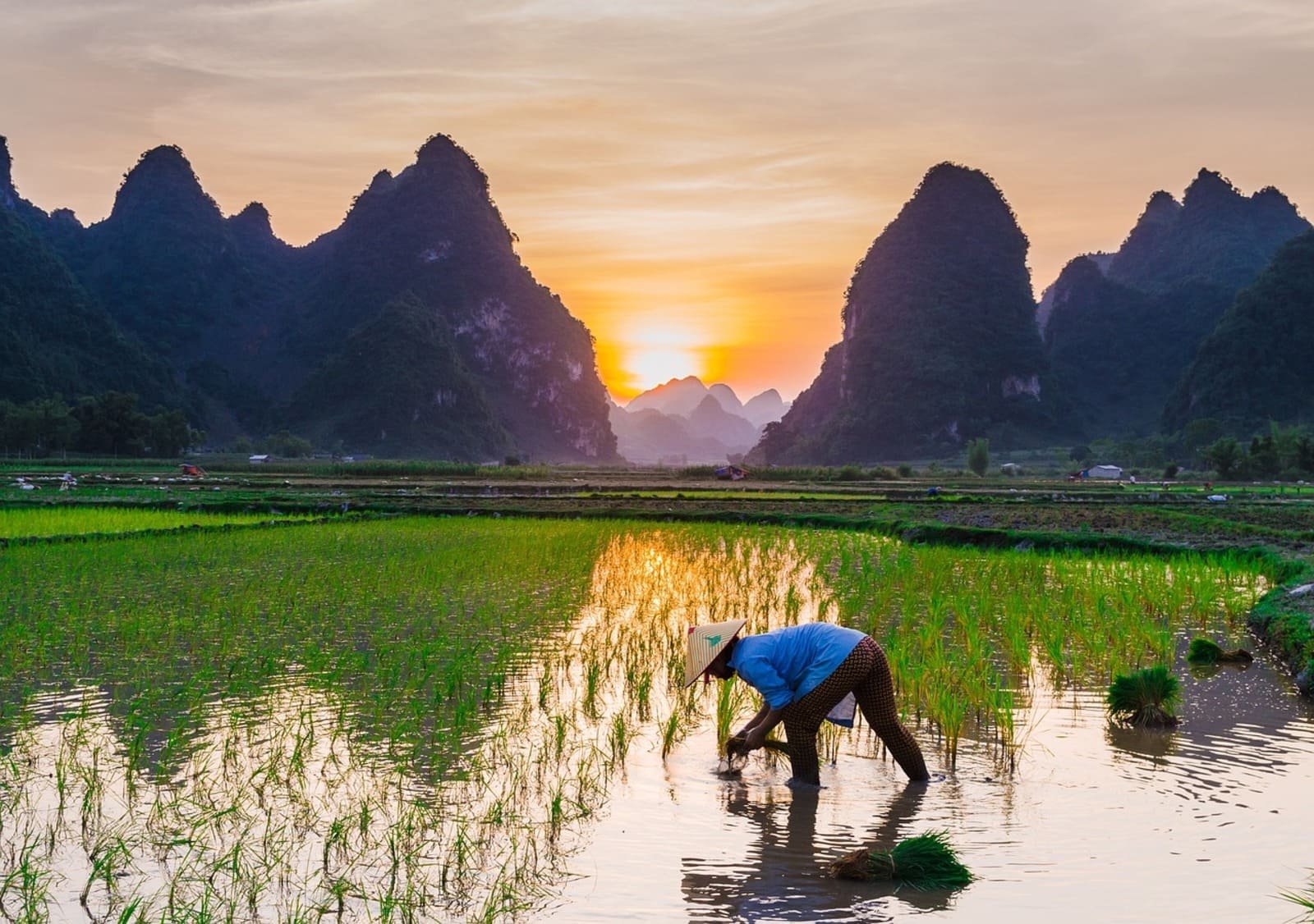 Discovery Ninh Binh