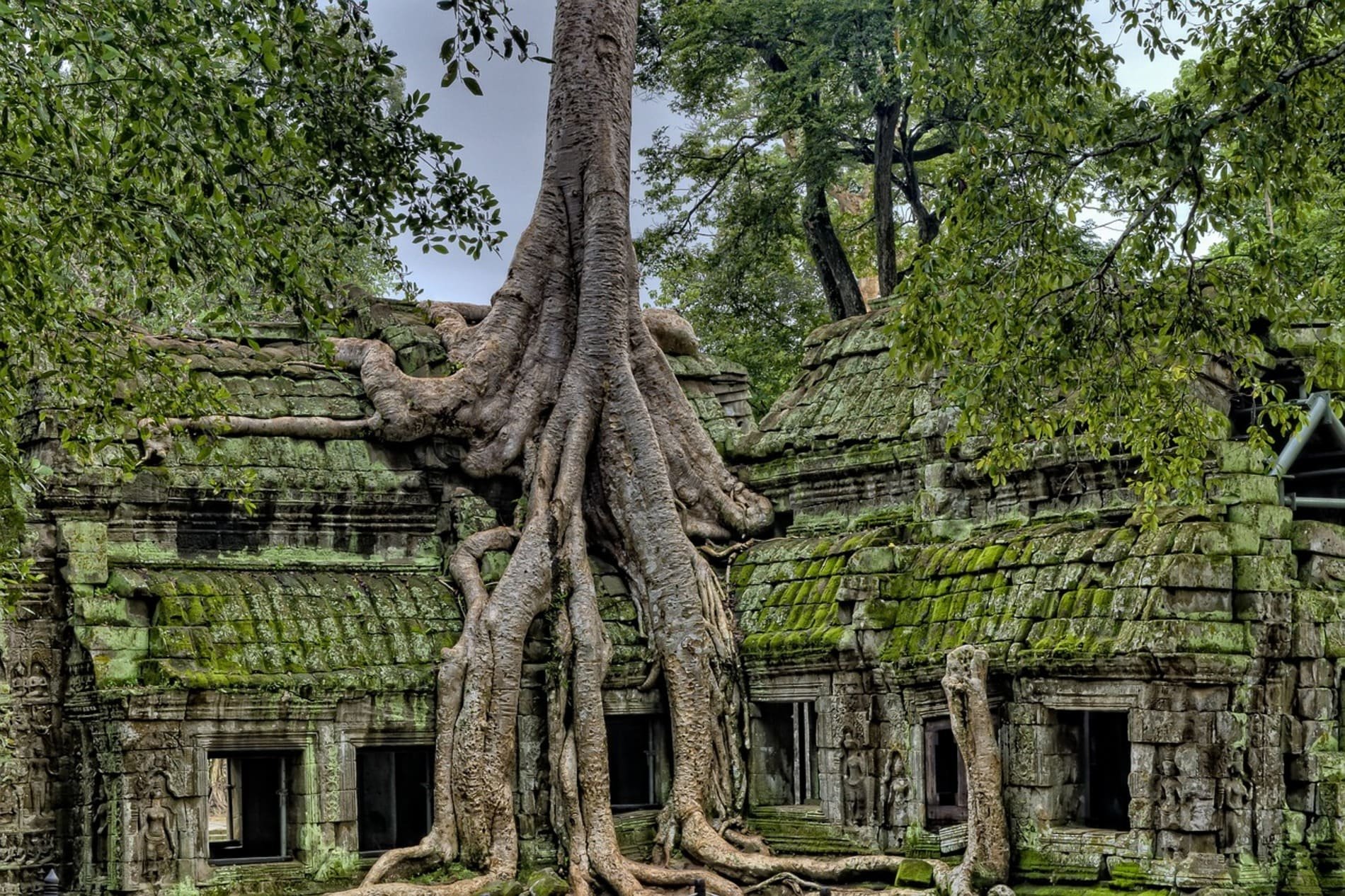 Esplore Angkor Wat Siem Reap Cambodia