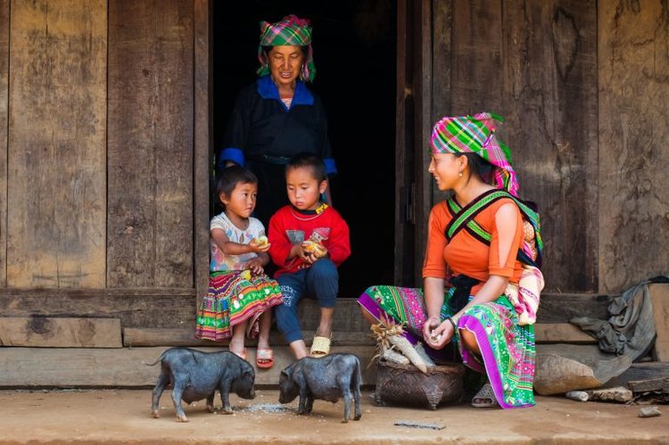 Etnico Hmong Sap Vietnam
