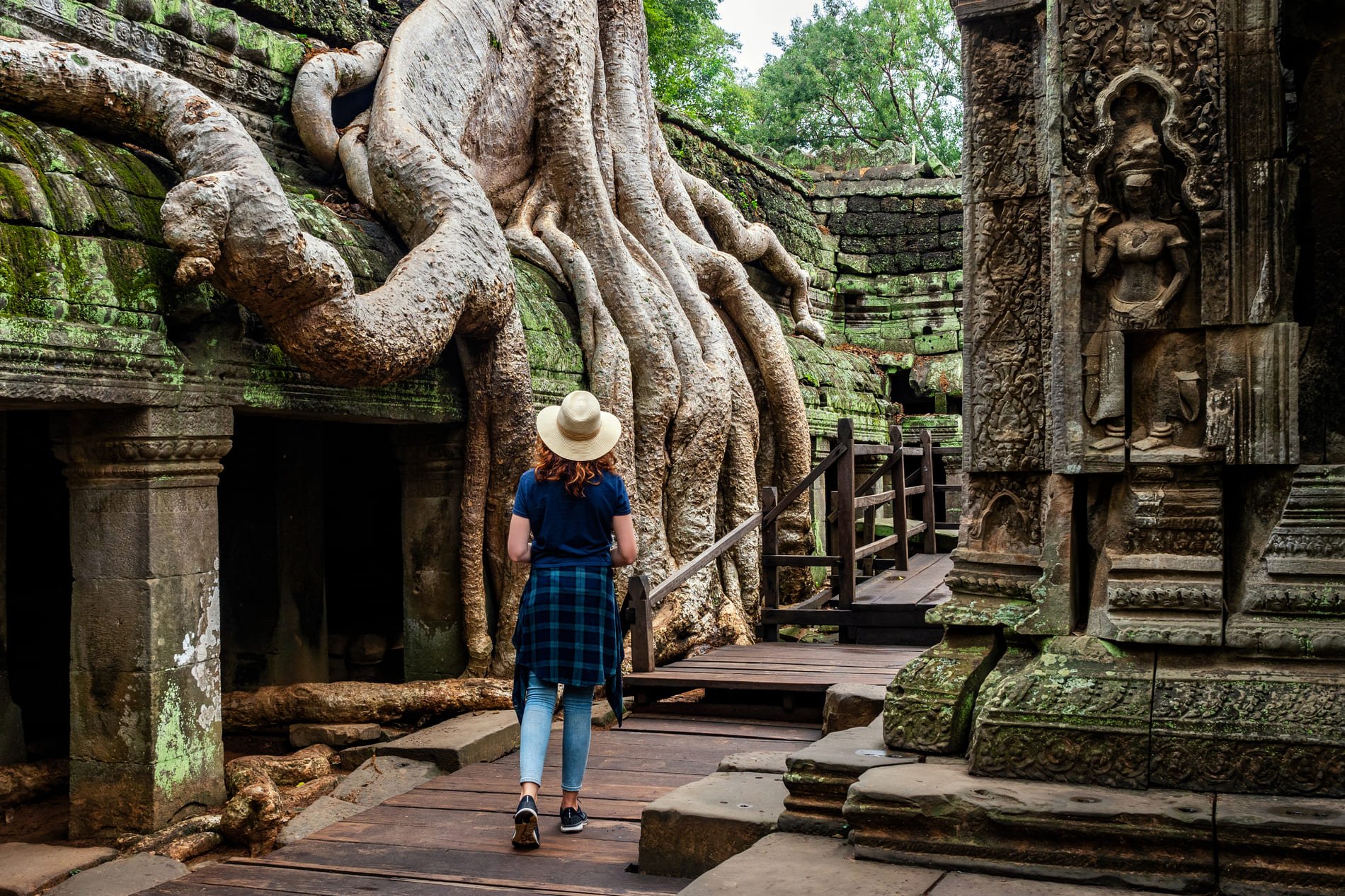 Le temp Ta Prohm a Siem Reap