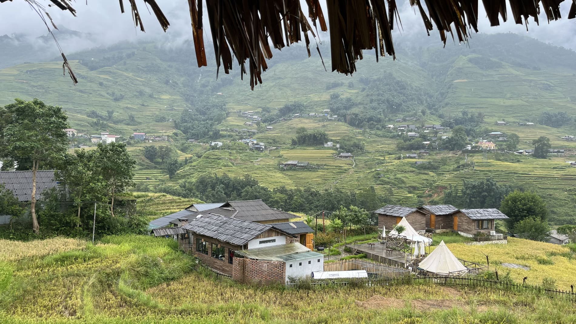 Les rizières en terrasse magnifiques au Vietnam