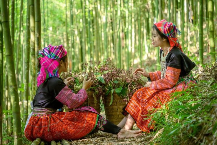 L'ethnie minoritaire H'mông à Mu Cang Chai Vietnam