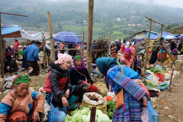 Mercato Can Cau Vietnam