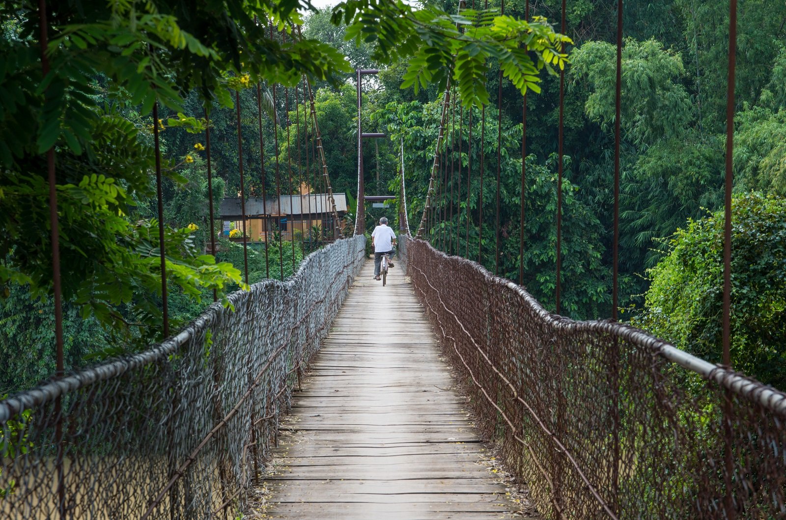 Man,Riding,Bicycle,Crosses,The,Bridge,In,Battambang/cambodia.,Rural,Scenery.