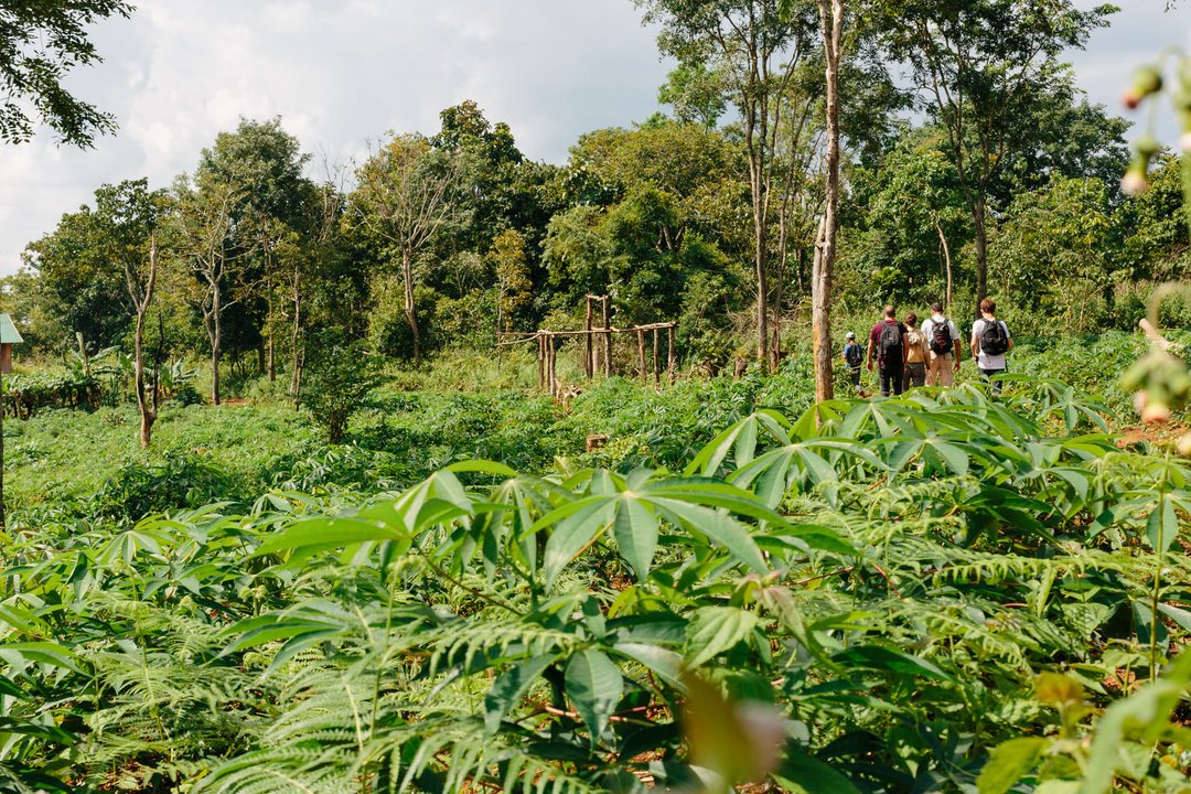 Progetto-dei-elefanti-Bunong-Mondulkiri