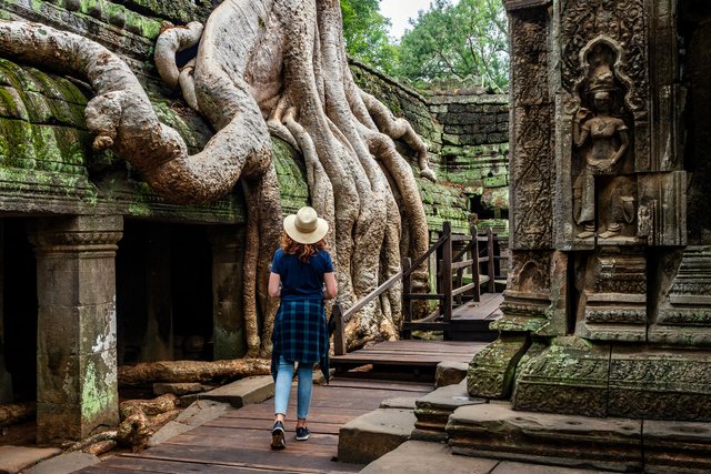 Ta Prohm temple Angkor Siem Reap