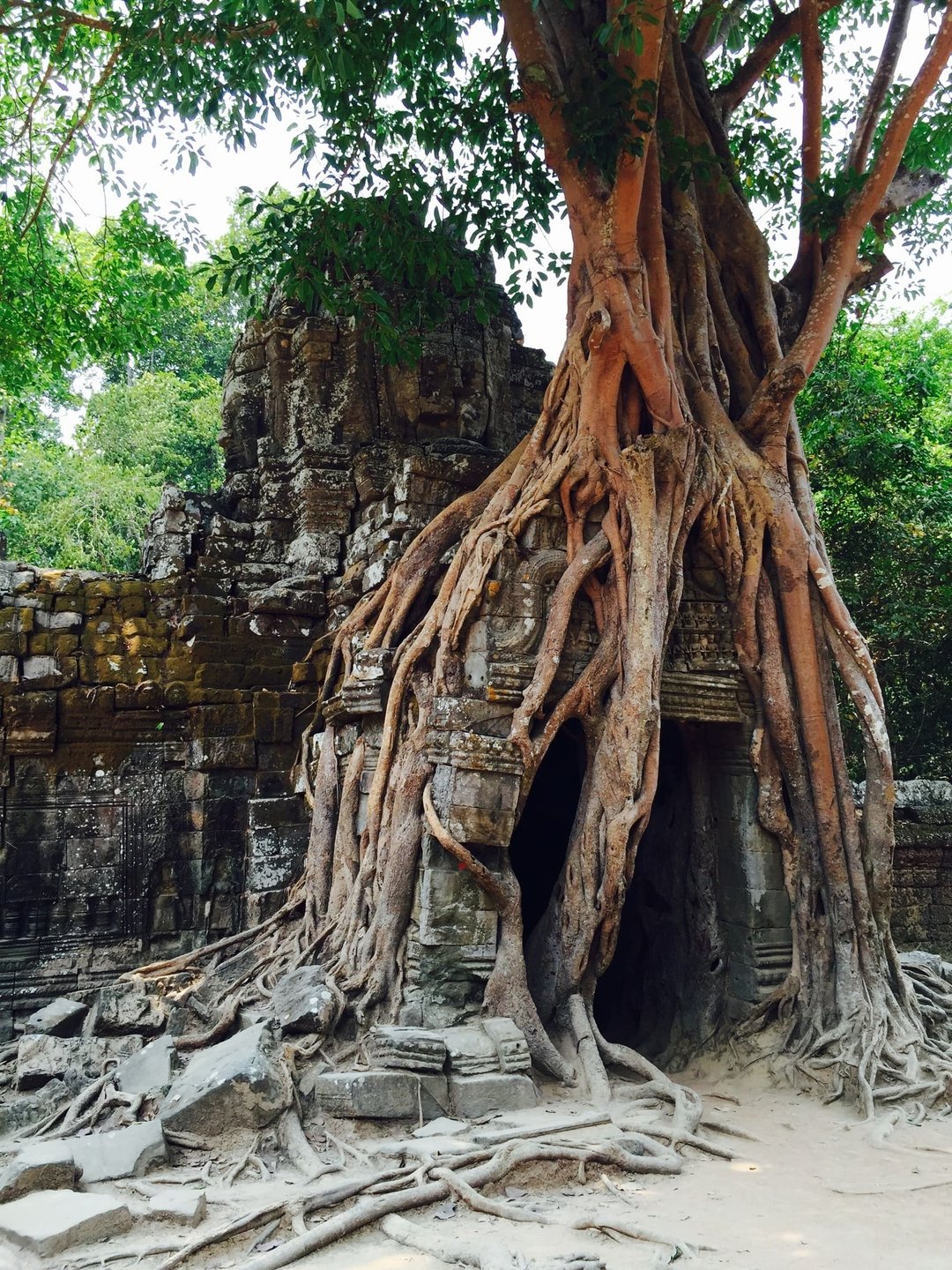 Tempio di Tasom Siem ReapCambodia