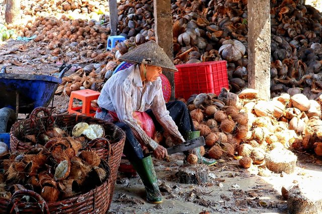 Vietnam coconut kingdom Ben Tre