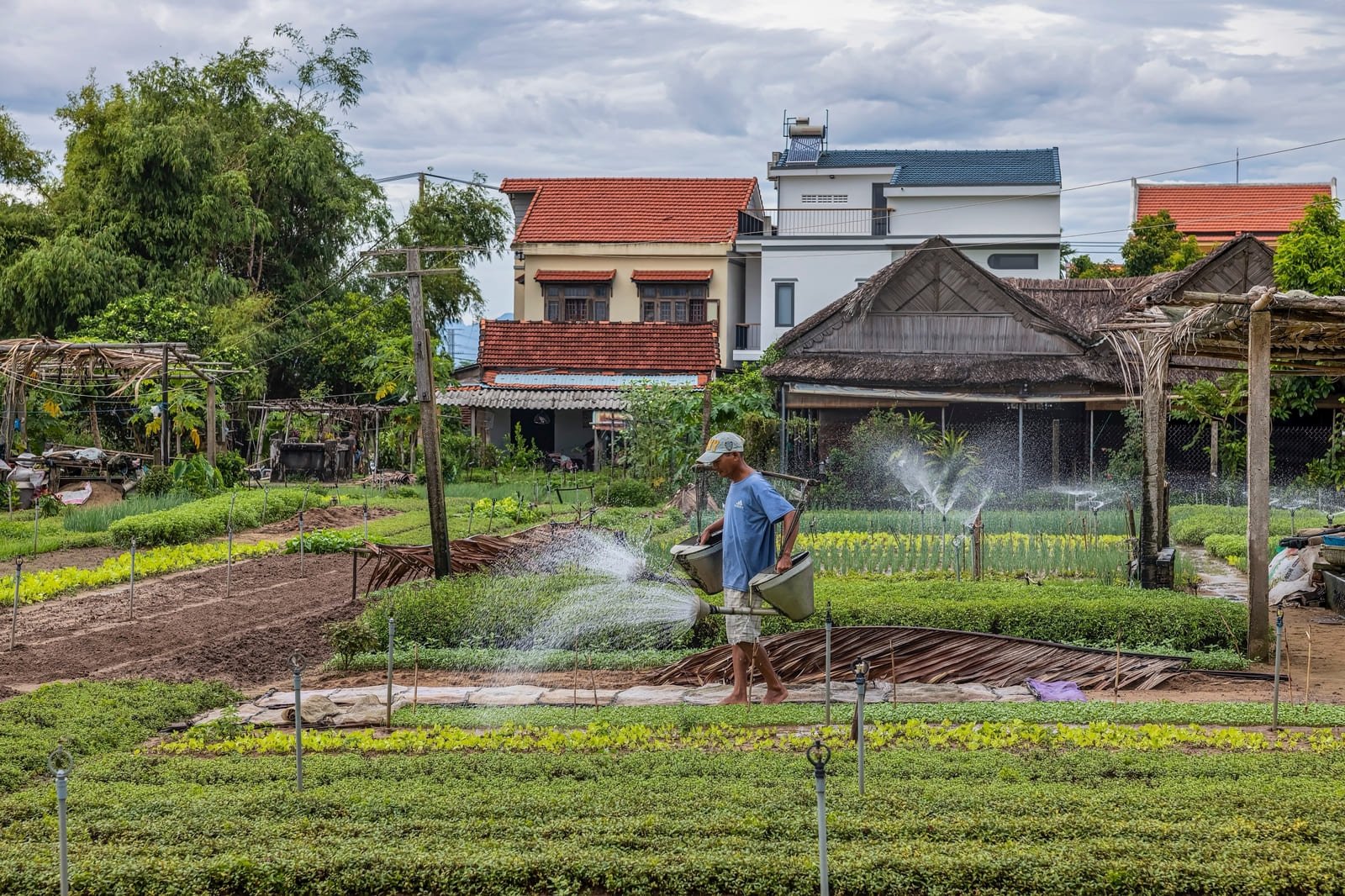 Villaggio di Tra Que Vietnam